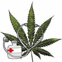 /album/galleria-foto-cosa-ne-pensa-riguardo-alla-cannabis/cannabis-terapeutica-1-jpg/