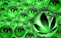 /album/galleria-foto-cosa-ne-pensa-riguardo-alla-cannabis/imagesca3zmg5b-jpg/